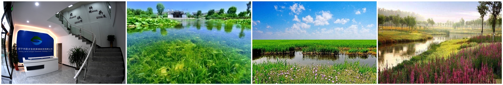 pp���ӡ�ģ����(������Ϸ)�ٷ���վ