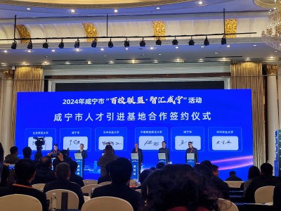 pp���ӡ�ģ����(������Ϸ)�ٷ���վ