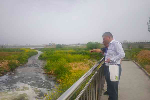 pp���ӡ�ģ����(������Ϸ)�ٷ���վ