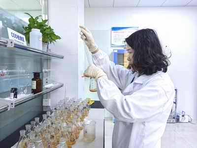 pp���ӡ�ģ����(������Ϸ)�ٷ���վ