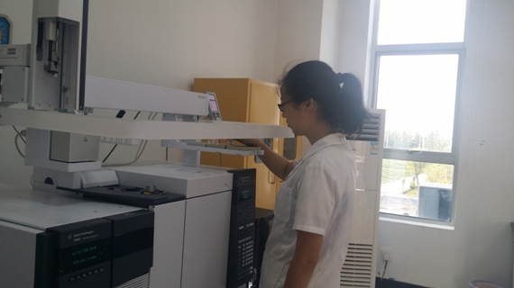 pp���ӡ�ģ����(������Ϸ)�ٷ���վ