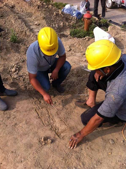 pp���ӡ�ģ����(������Ϸ)�ٷ���վ